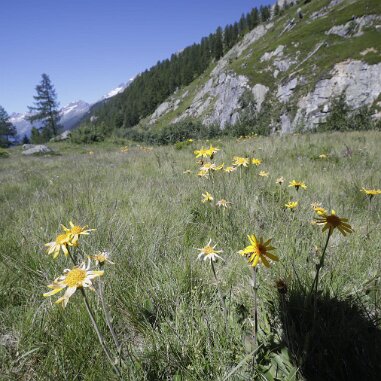 Lötschental, Wallis