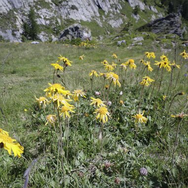 Lötschental, Wallis