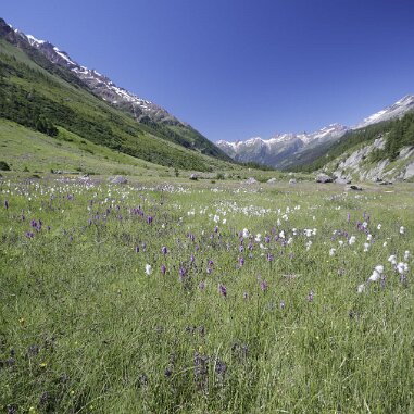 Lötschental, Wallis
