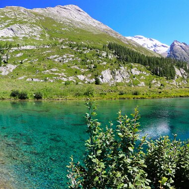 Lötschental, Wallis von der Fafleralp zum Gletscher